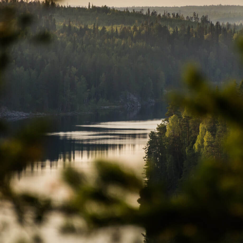 Фотография - природа Карелии