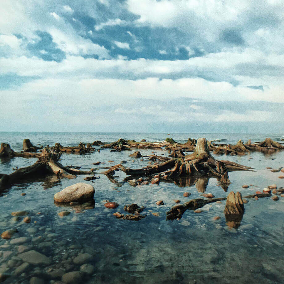 Фотография - Куршская коса